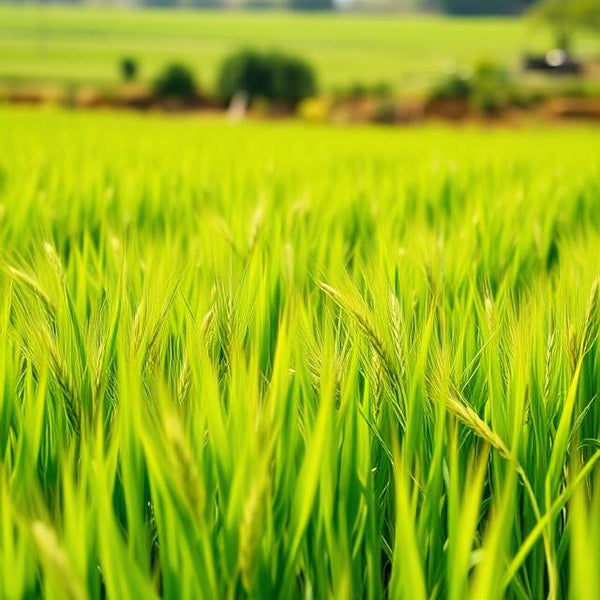 Agriculture